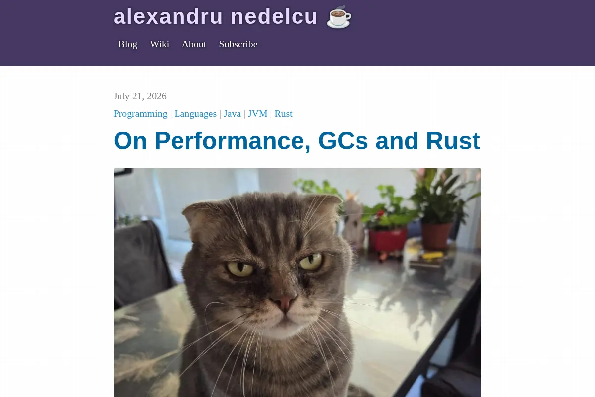 Alexandru Nedelcu - On programming and personal projects