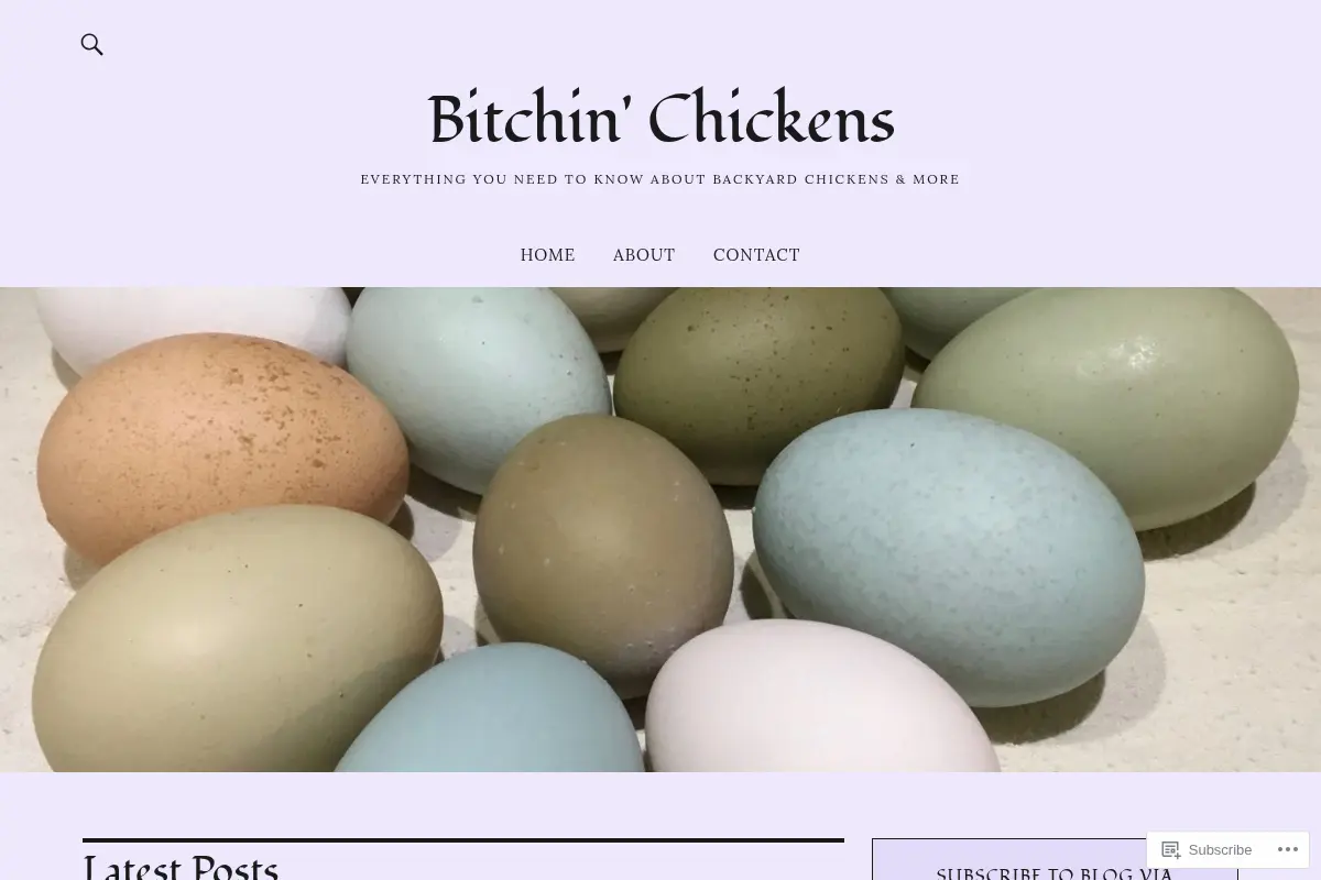 Bitchin' Chickens – Everything You Need To Know About Backyard Chickens & More