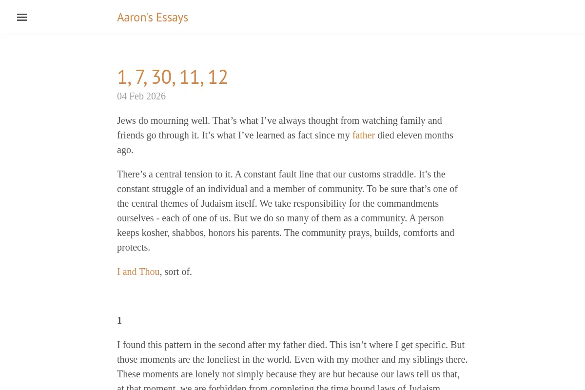 Aaron's Essays