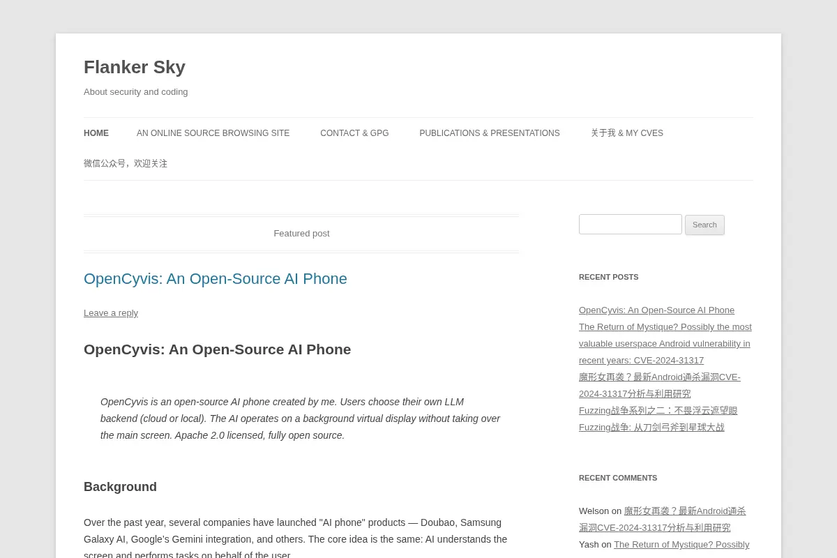 Flanker Sky | About security and coding