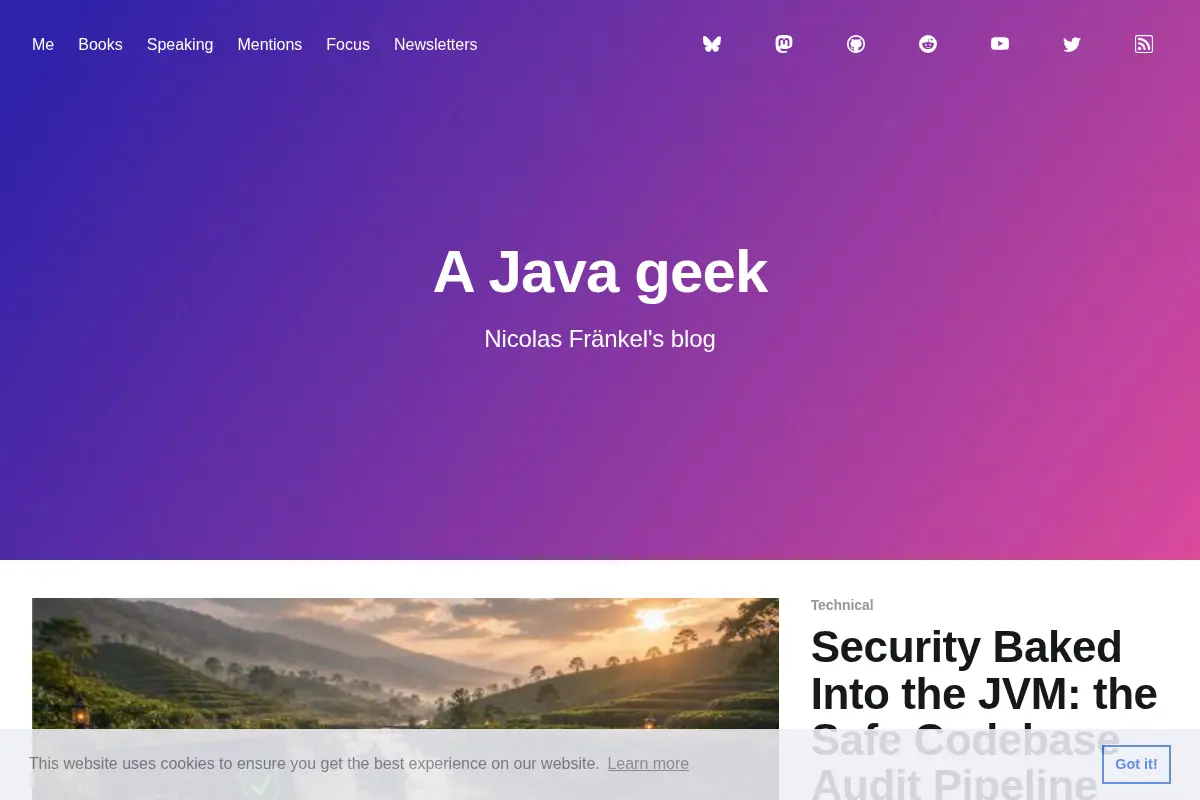 A Java geek