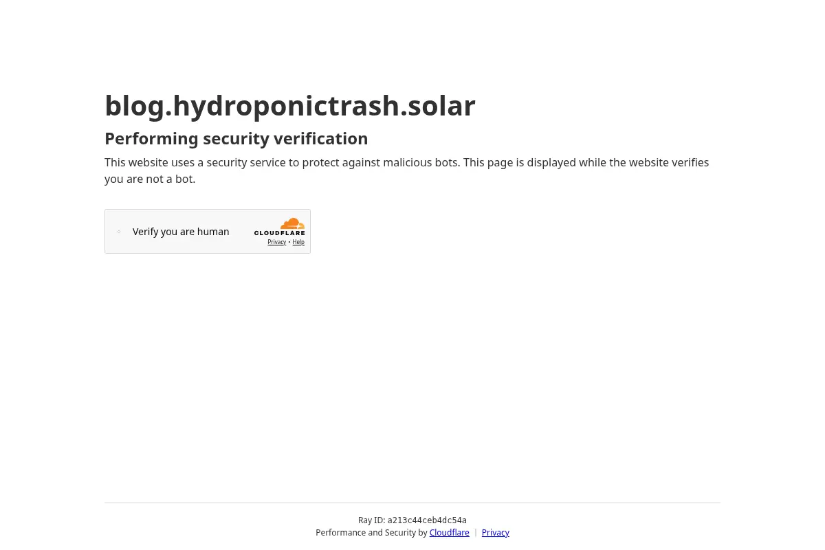 Sunshine and Seedlings: A Newsletter by HydroponicTrash
