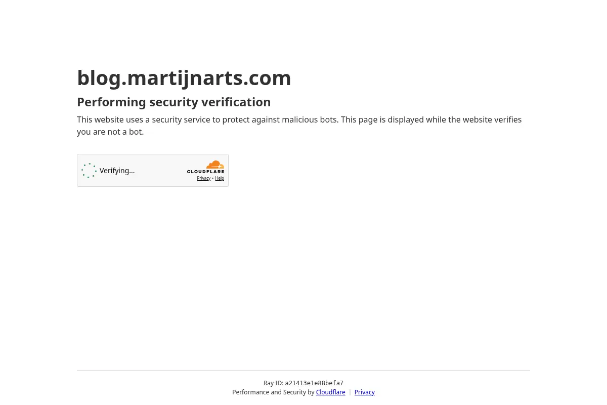 Martijn Arts