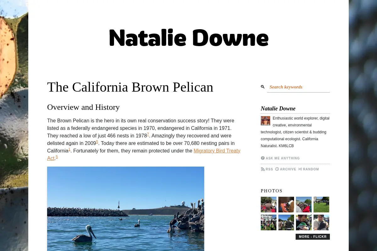 Natalie Downe