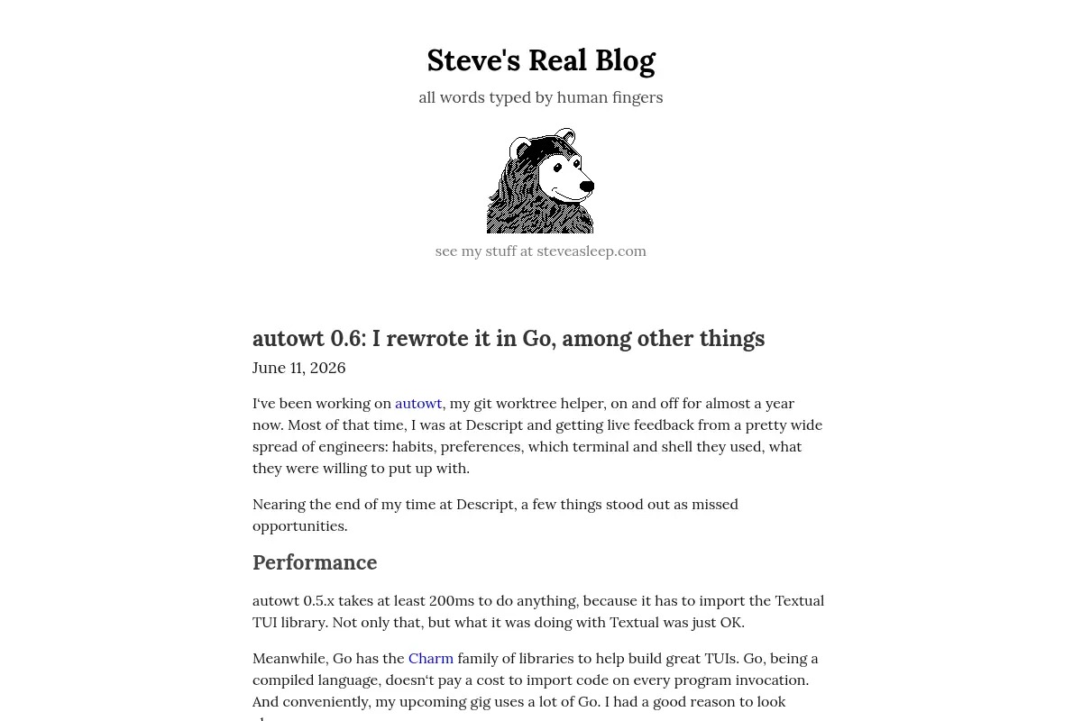 Steve's Real Blog