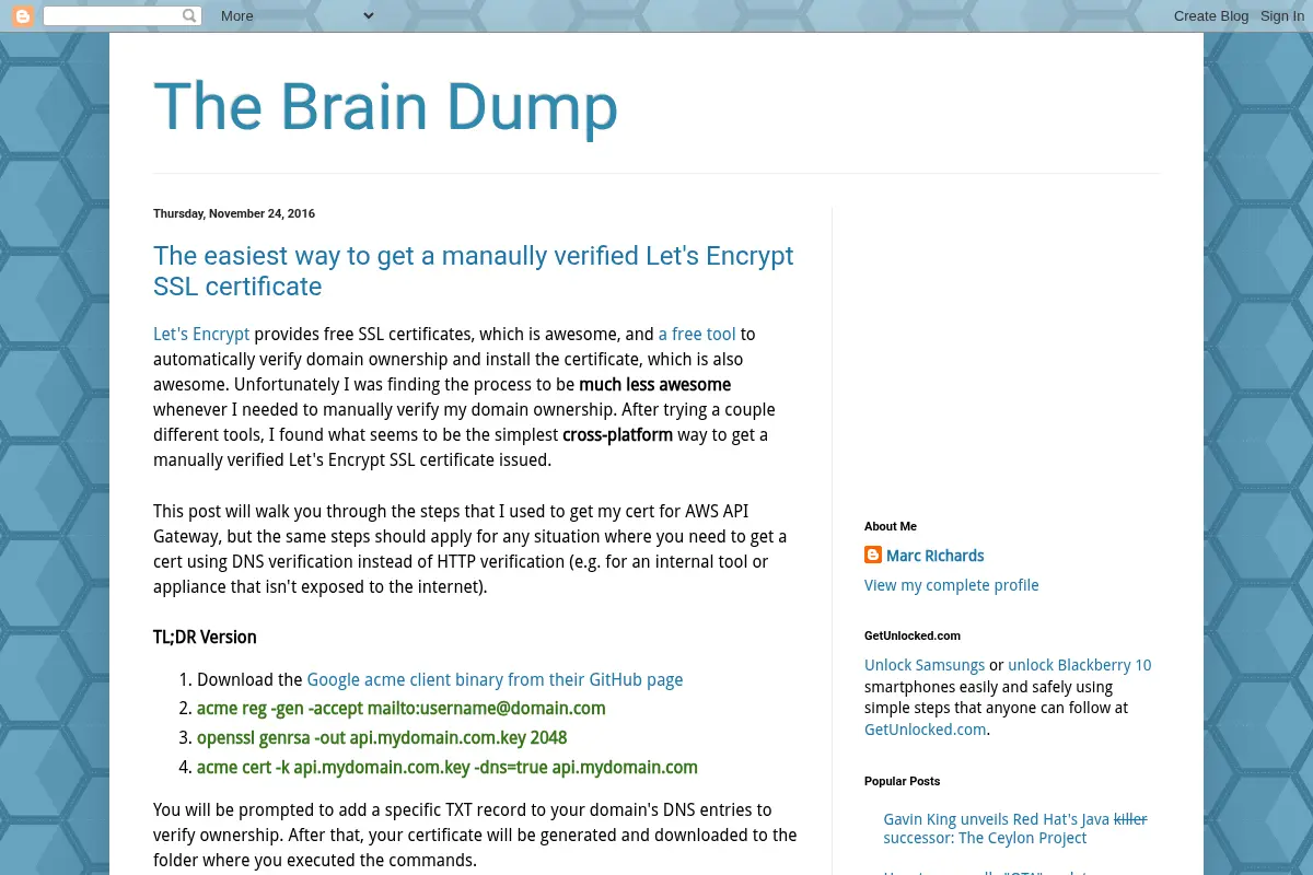 The Brain Dump