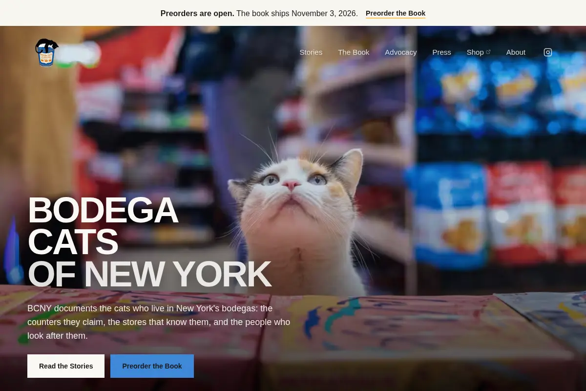 Bodega Cats of New York | NYC's Bodega Cat Stories