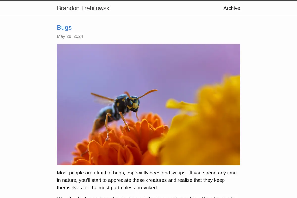 Brandon Trebitowski
