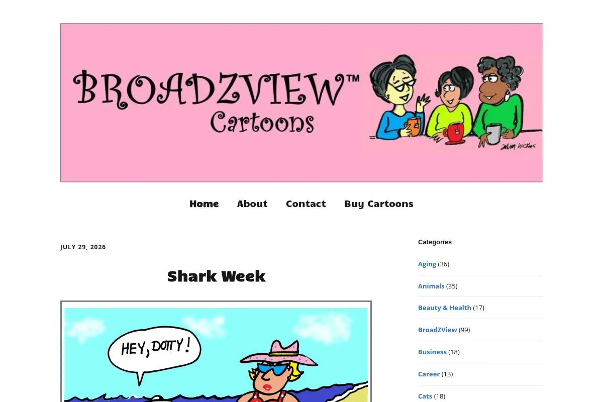 BroadZView