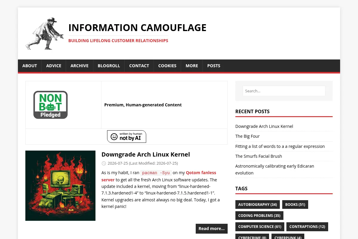 Information Camouflage