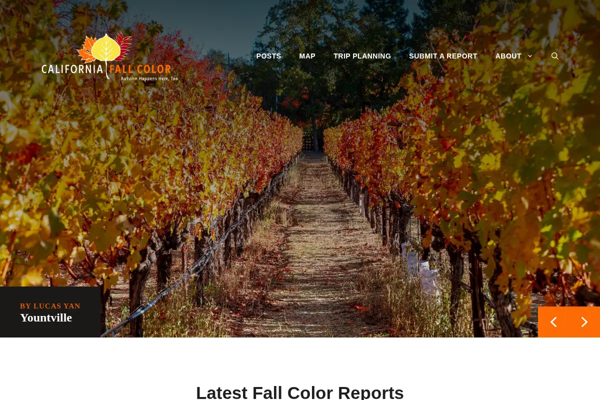California Fall Color – Dude, autumn happens here too.