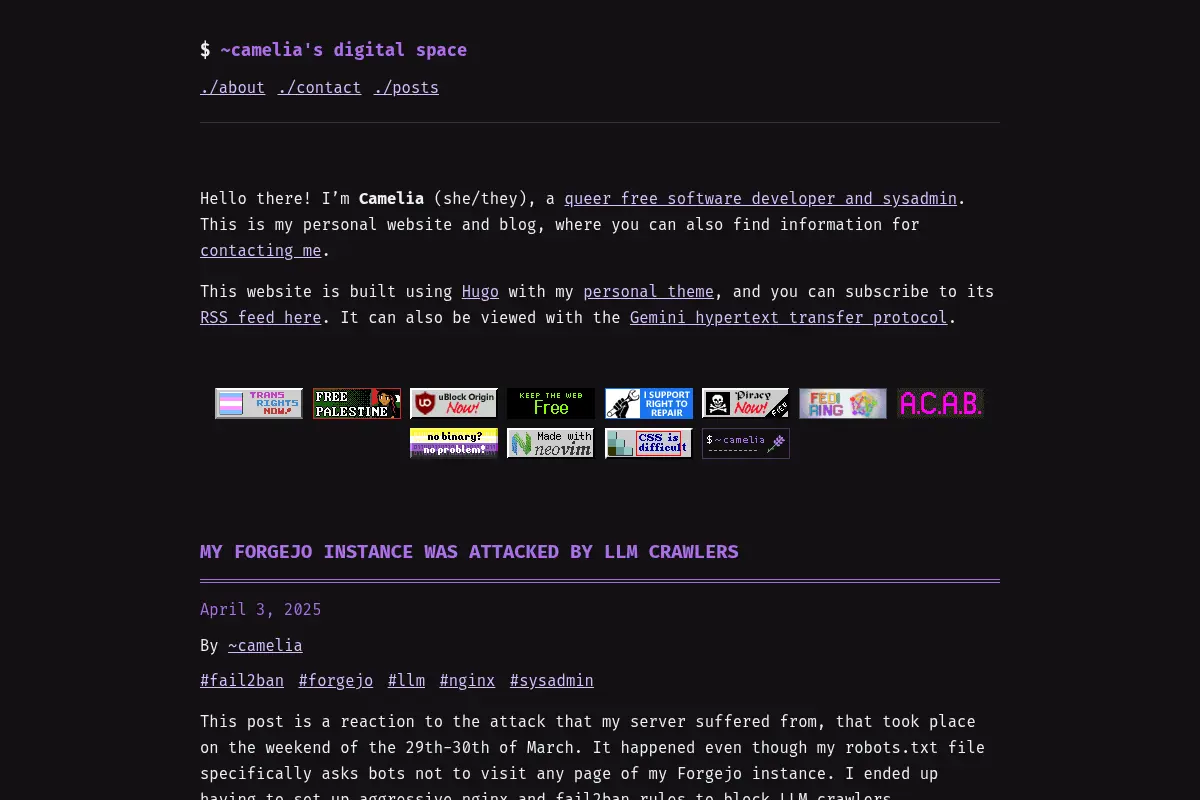 ~camelia's digital space