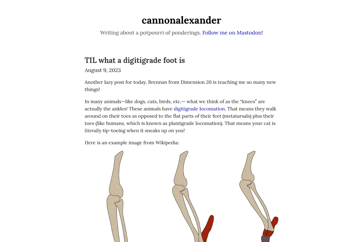 cannonalexander