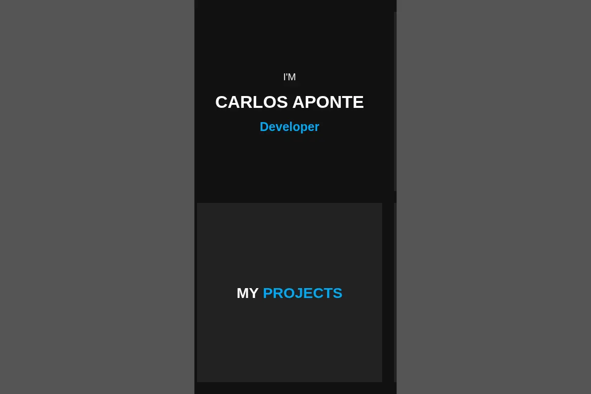Carlos Aponte - Developer & CyberSec Enthusiast