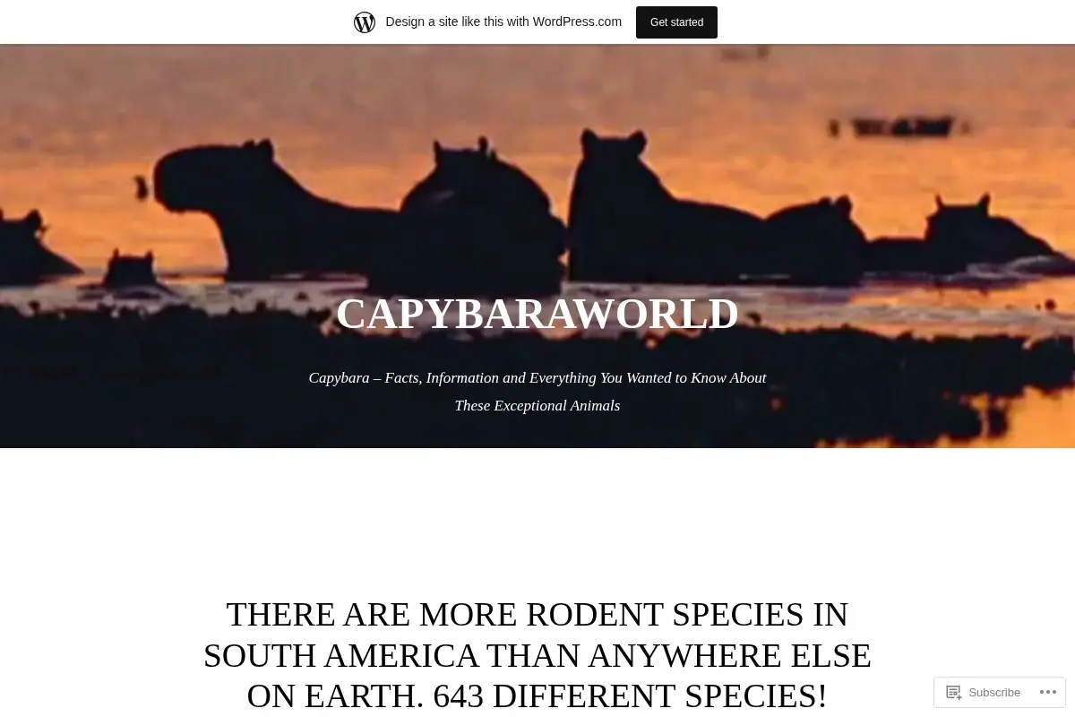 Capybara World
