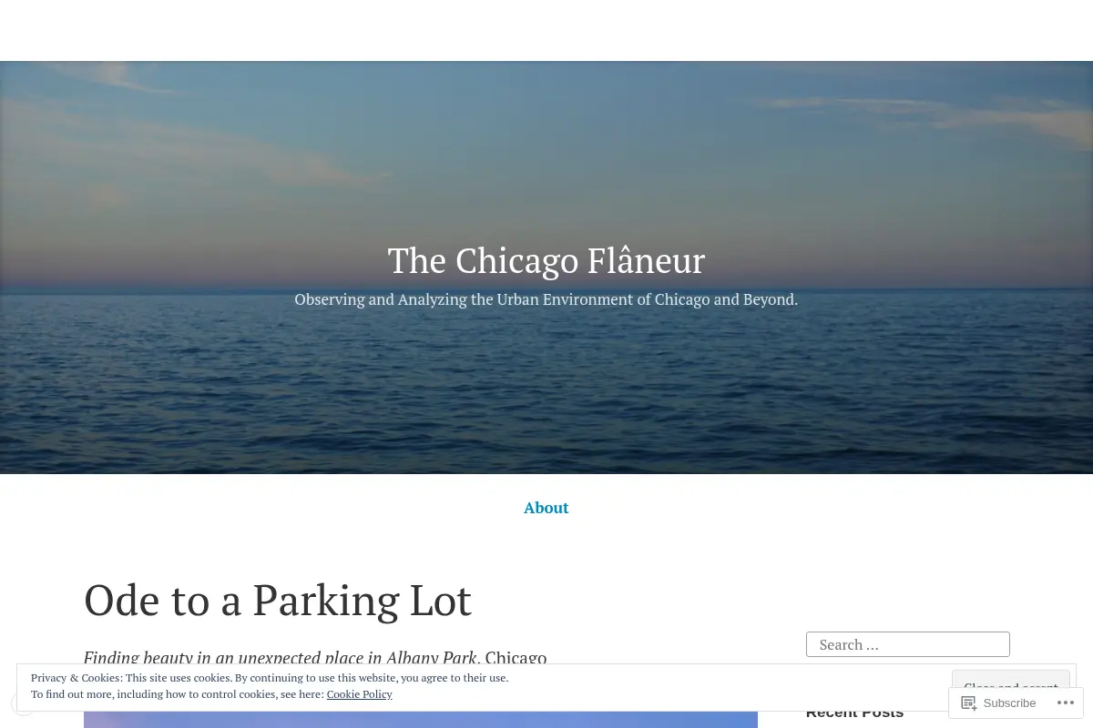 The Chicago Flâneur