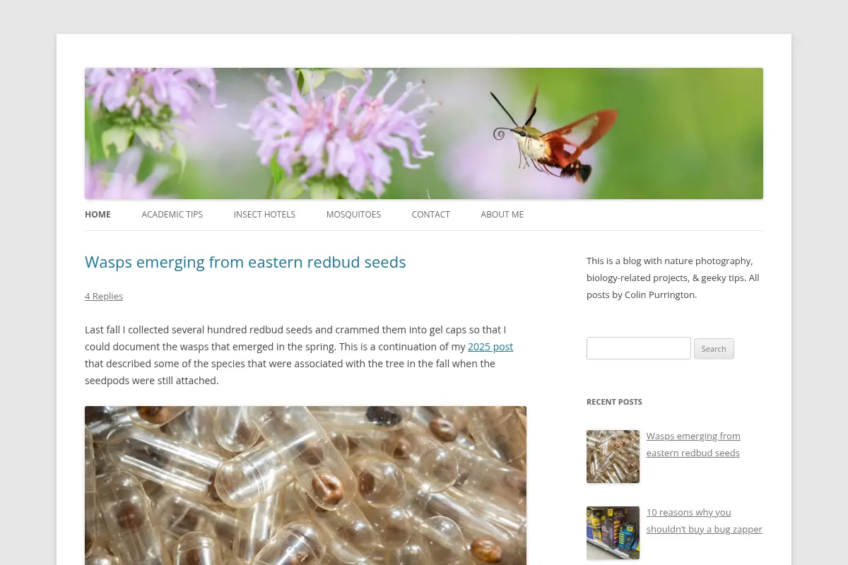 Colin Purrington's blog