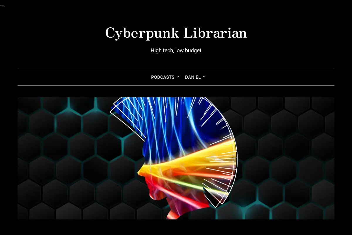 Cyberpunk Librarian – High tech, low budget