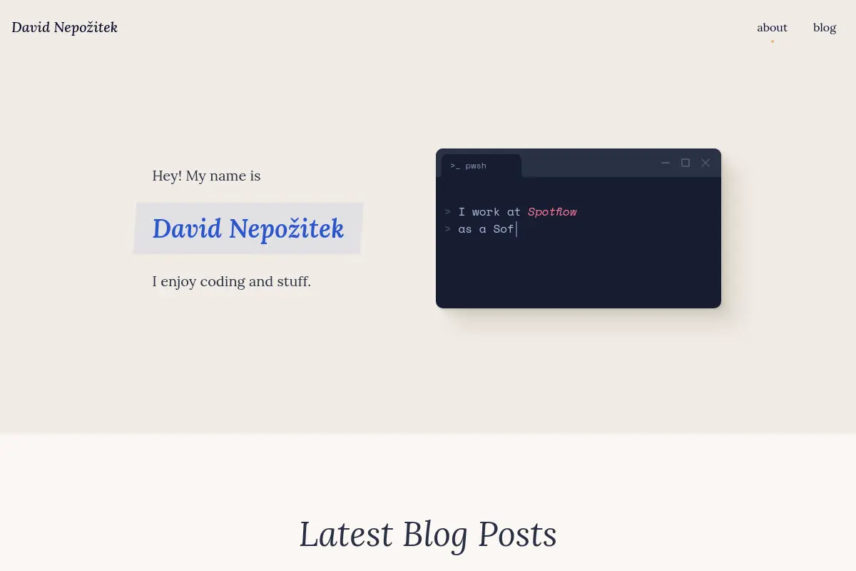 David Nepožitek | Software Engineer
