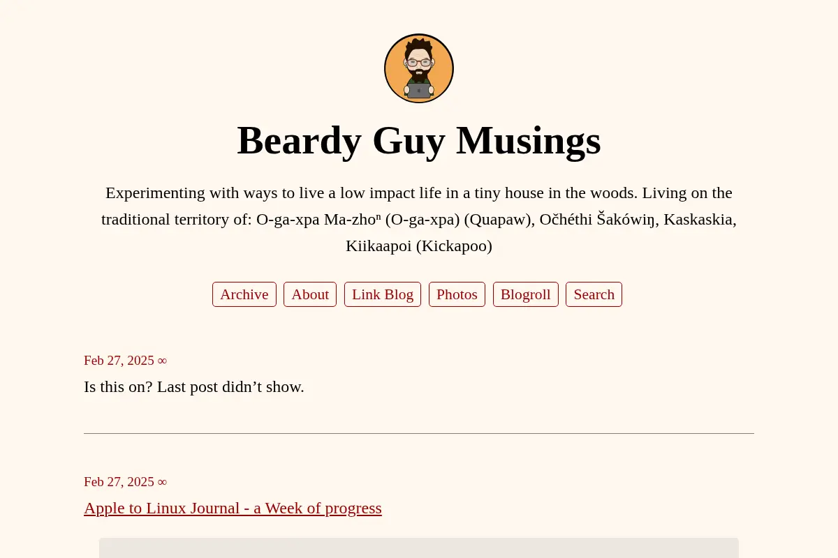 Beardy Guy Musings