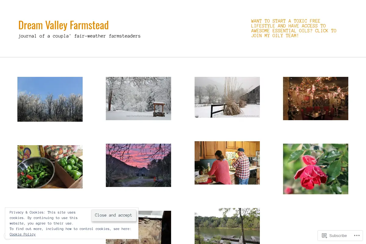Dream Valley Farmstead