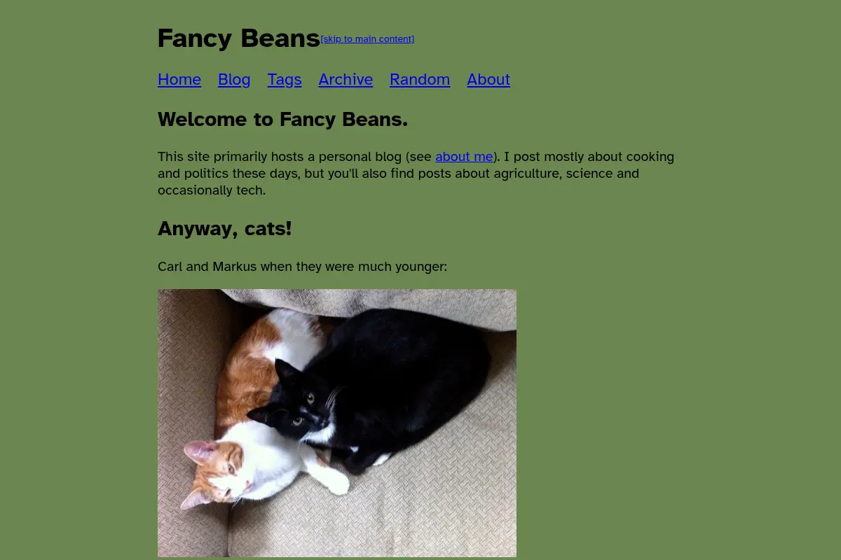 Fancy Beans