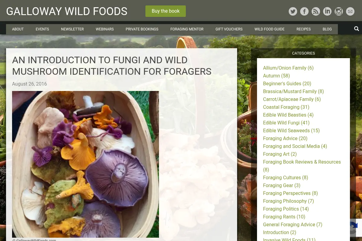 An Introduction to Fungi and Mushroom Identification for Foragers