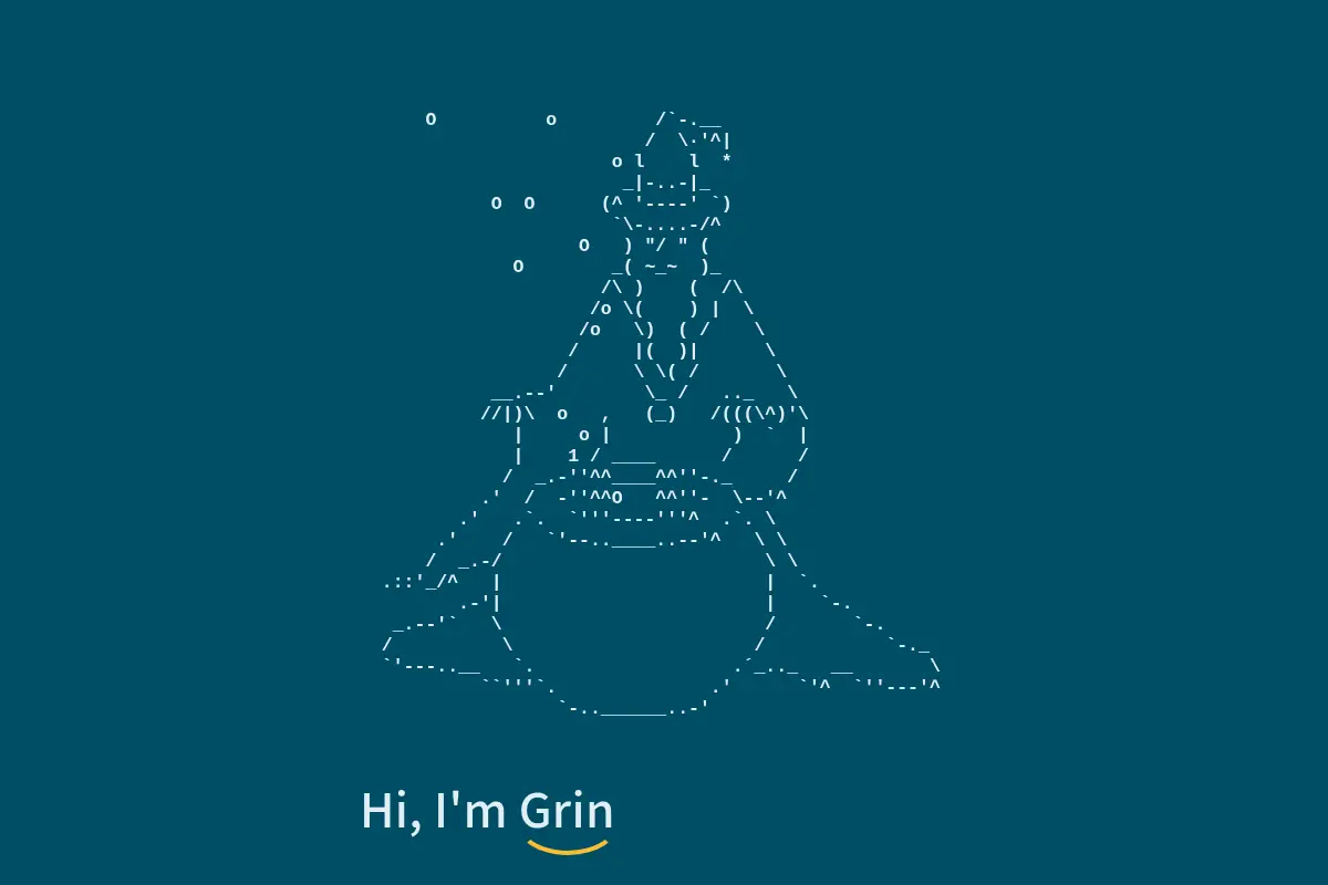 Grin the Web Wizard