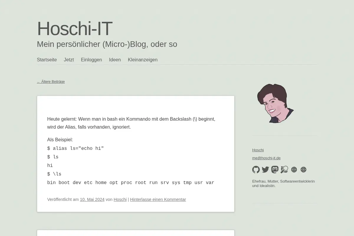 Hoschi-IT
