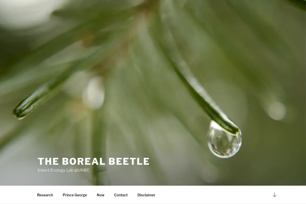The Boreal Beetle – Insect Ecology Lab @UNBC