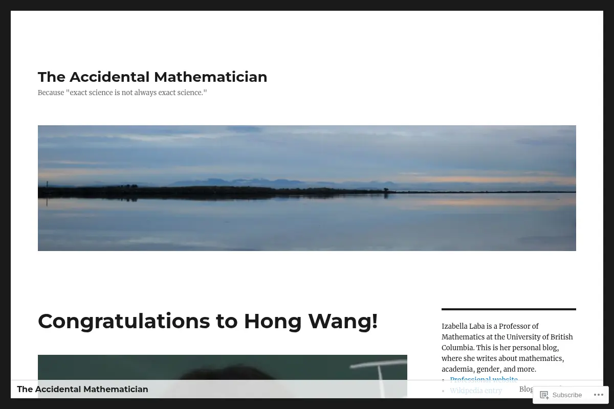The Accidental Mathematician