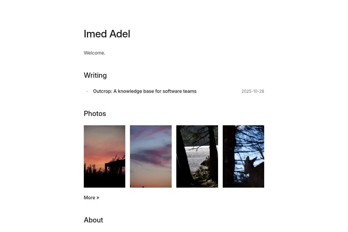 Imed Adel