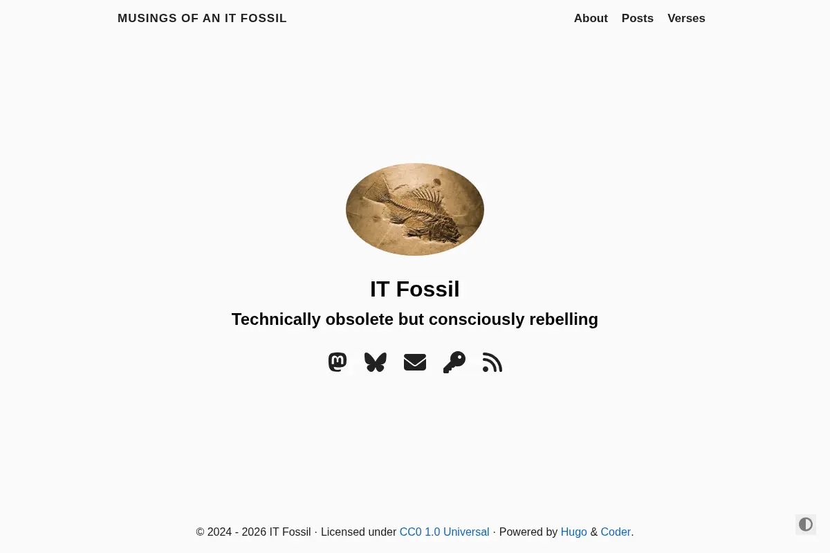 Musings of an IT Fossil
