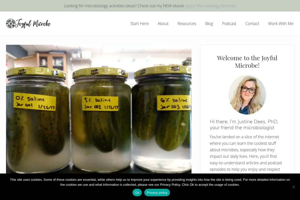 Fermented Foods Part 4: Incorporating Food Fermentation Into Microbiology Courses