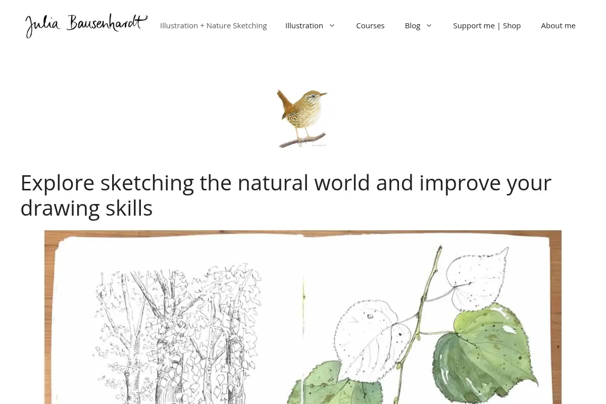 Julia Bausenhardt Illustration + Nature Sketching