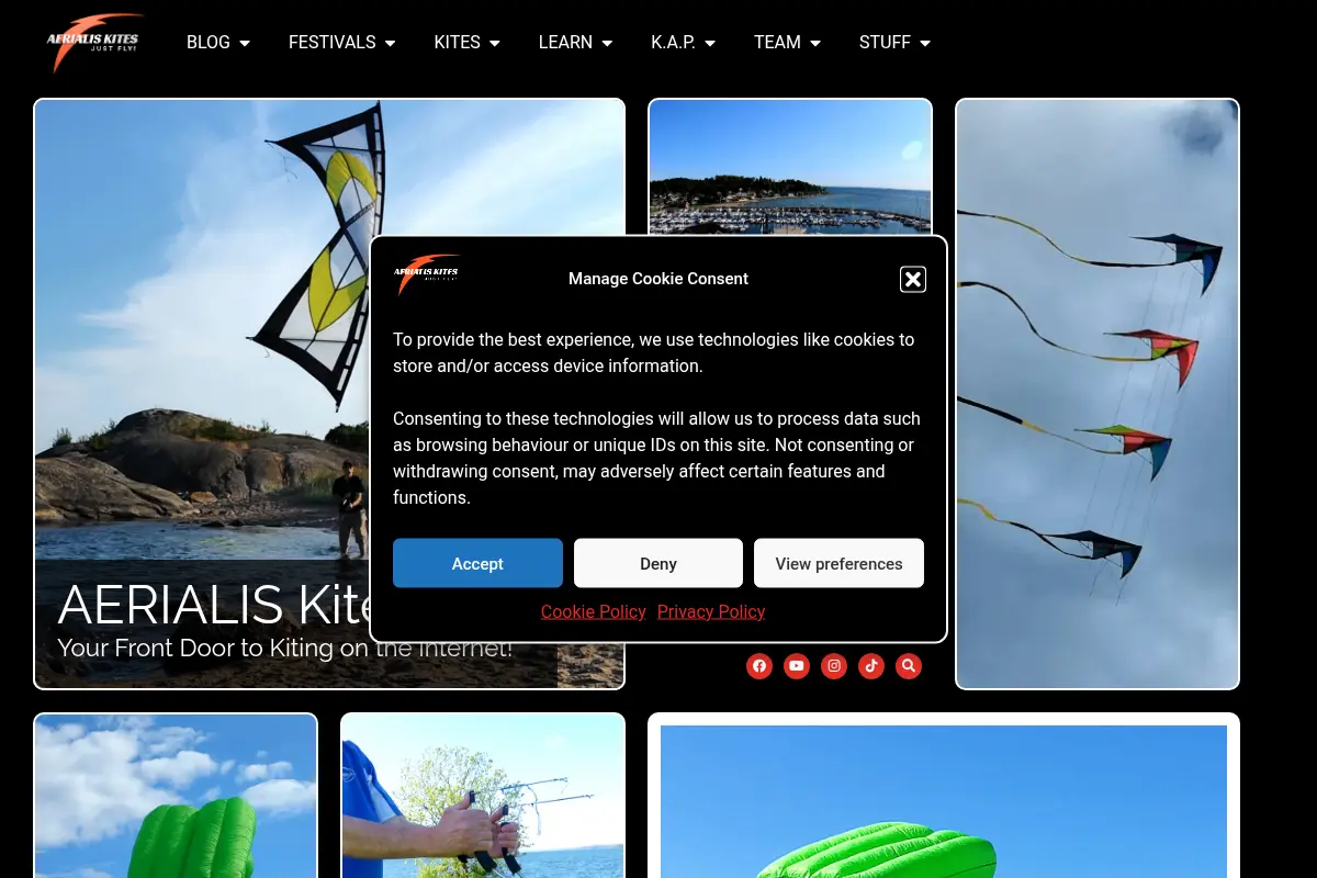 AERIALIS Kites | Just Fly!