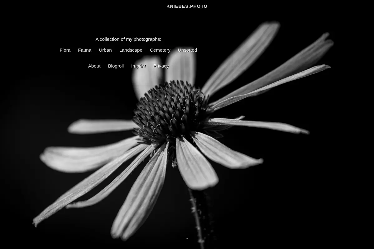 Photoblog of Markus Kniebes