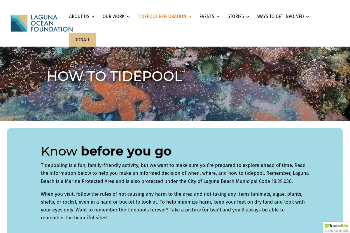 How to Tidepool