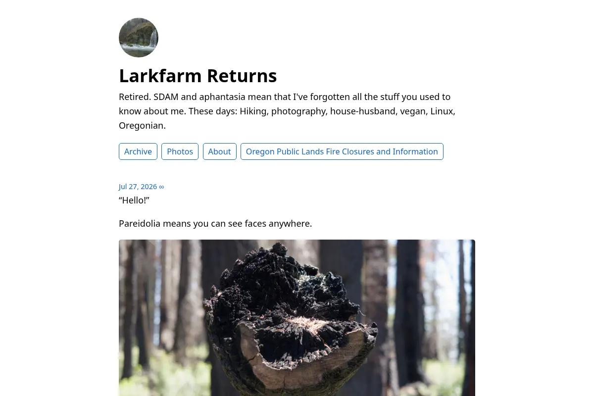 Larkfarm Returns
