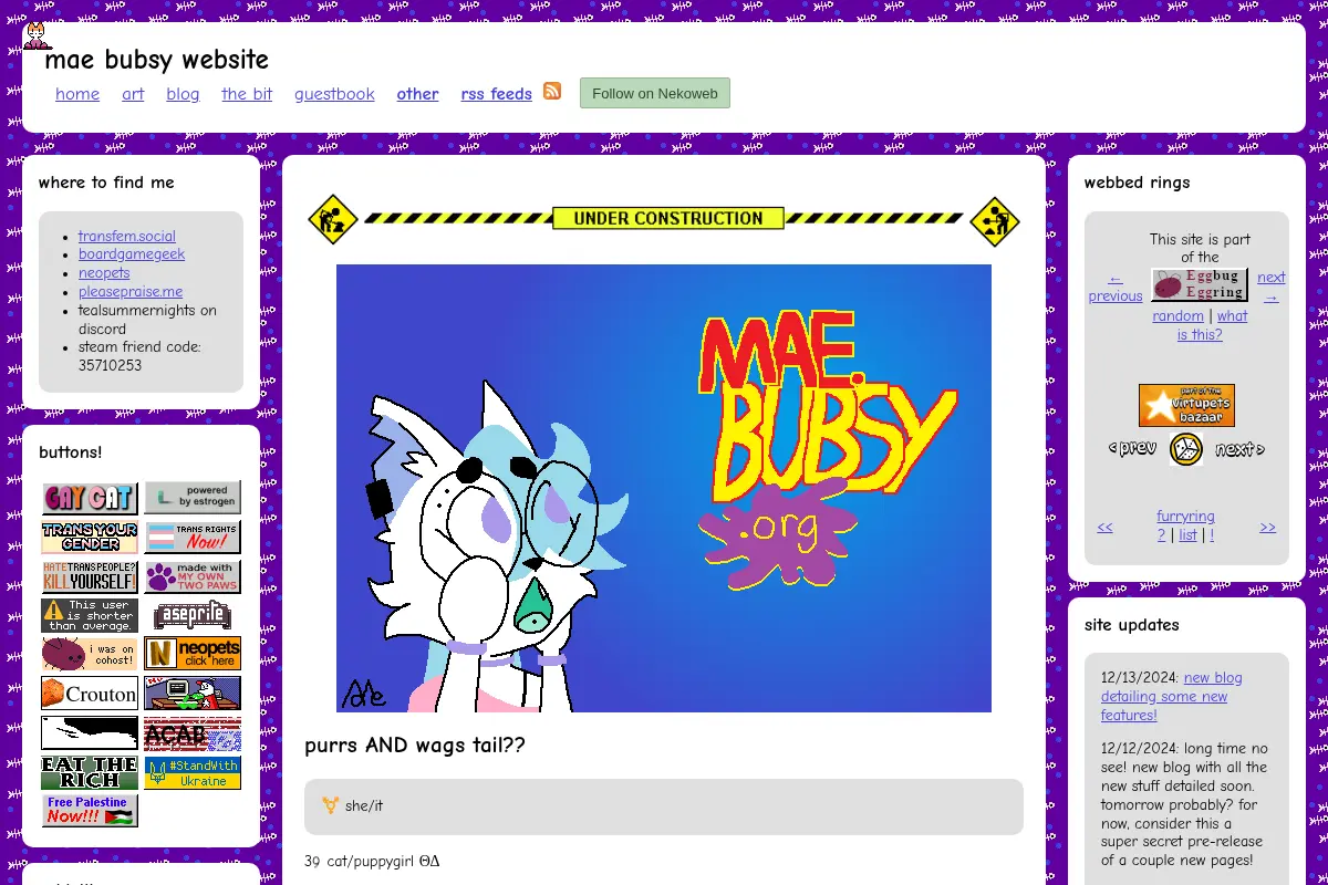 mae bubsy website