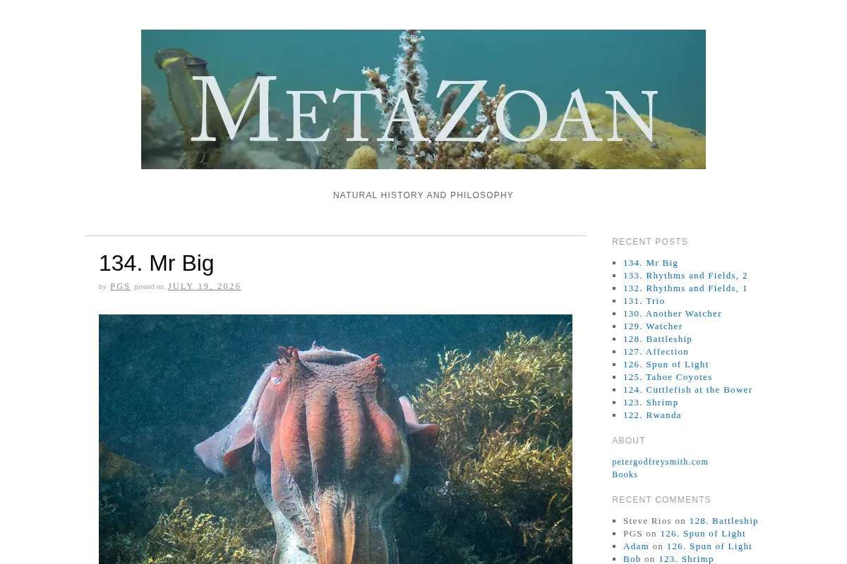 Metazoan: Natural History and Philosophy