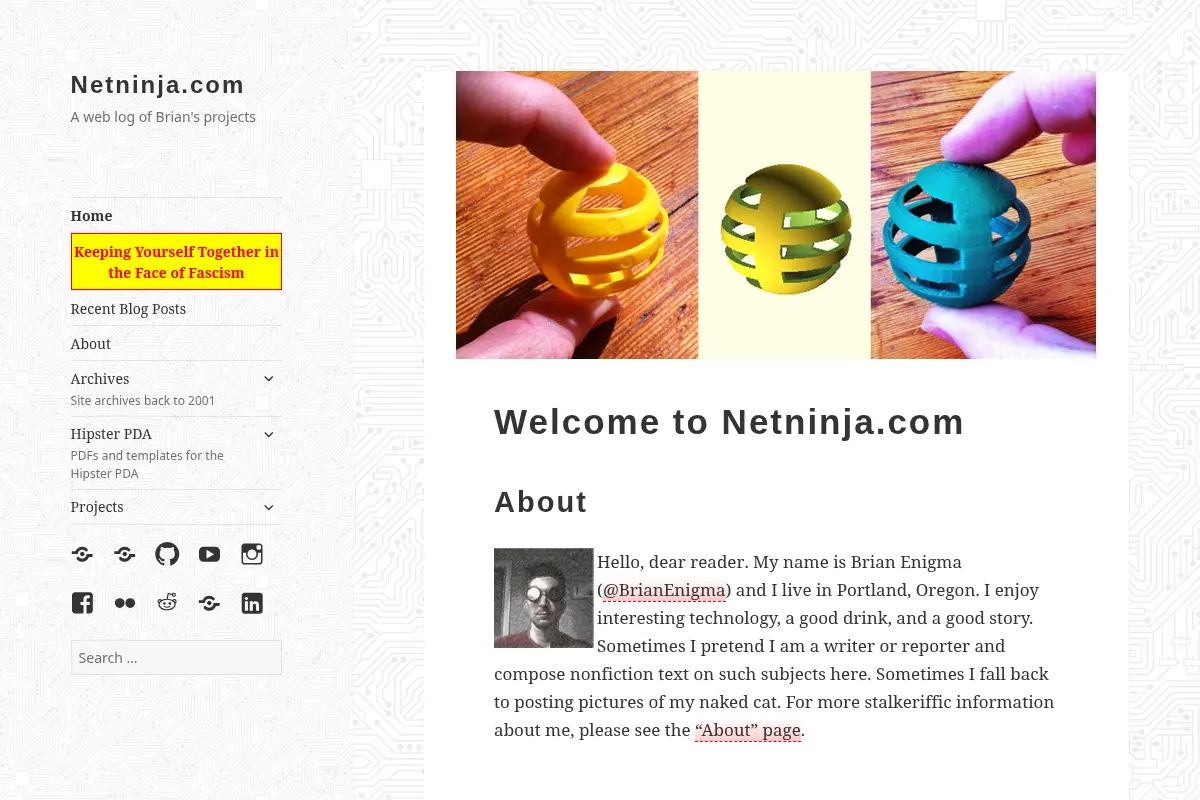 Netninja.com