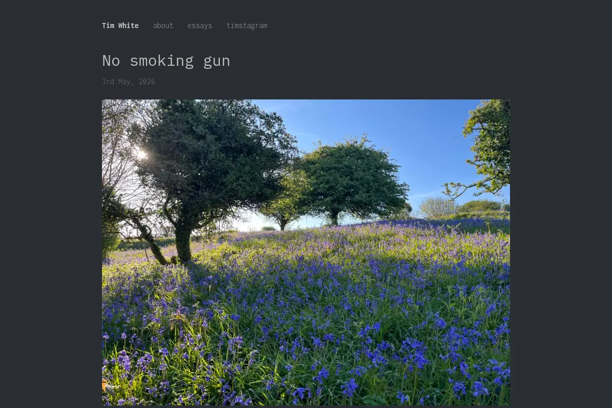 Tim's Blog