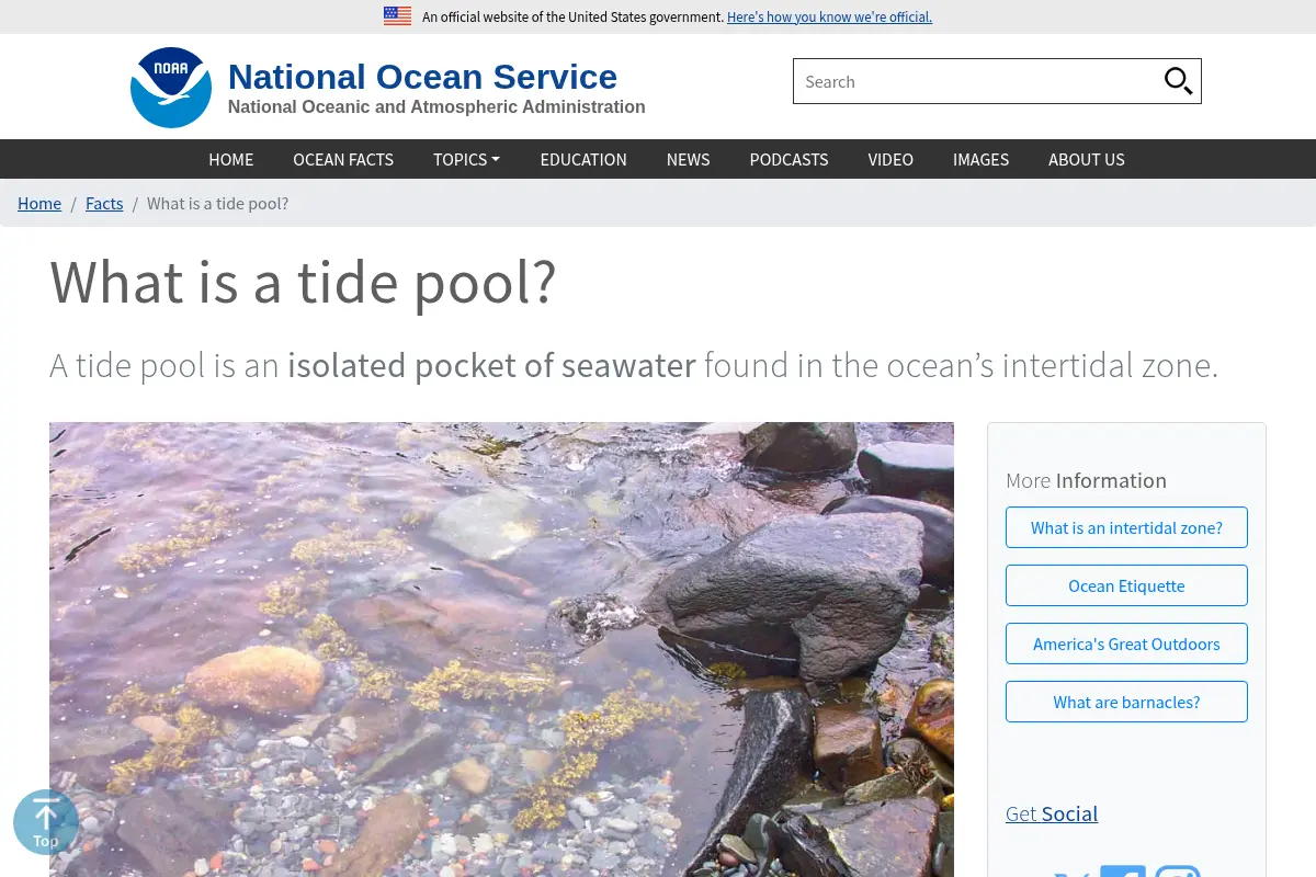 What is a tide pool?