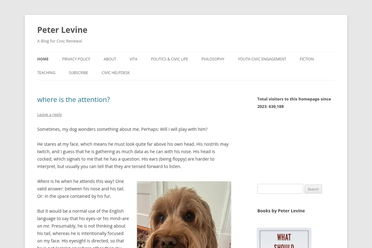 Peter Levine’s Blog for Civic Renewal