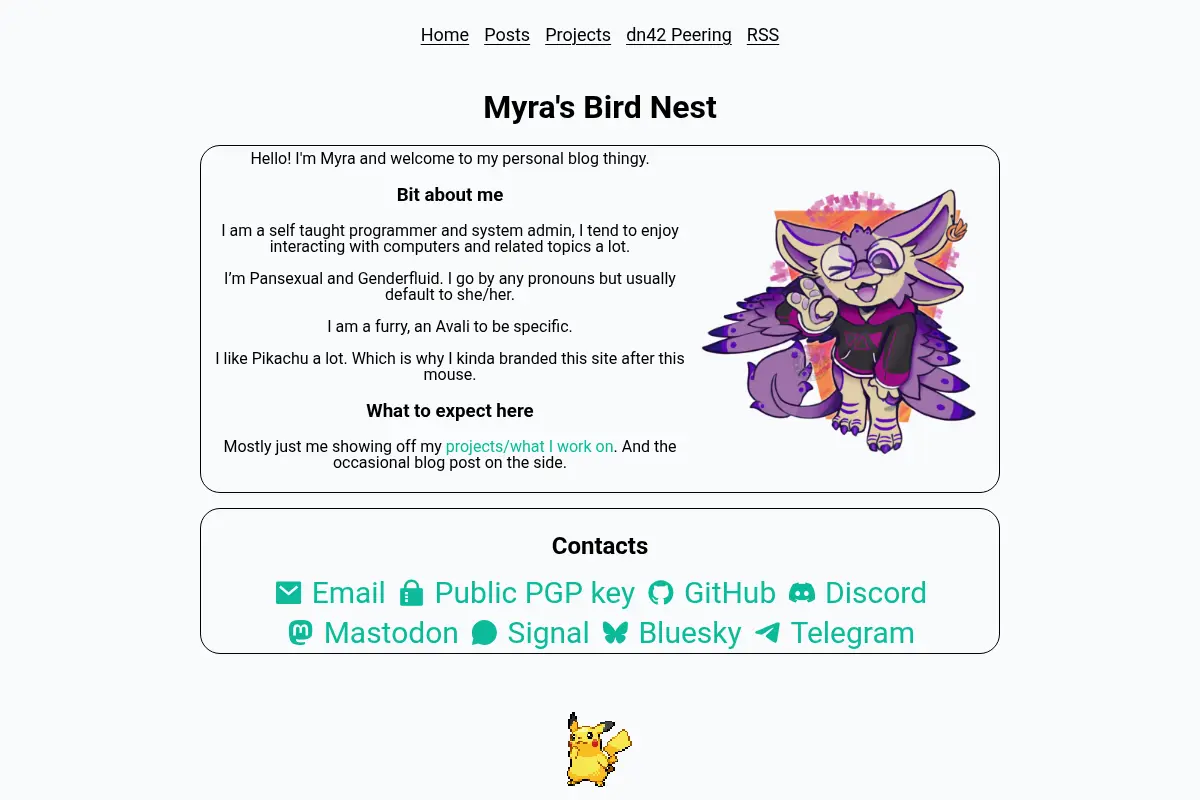 Myra's Bird Nest