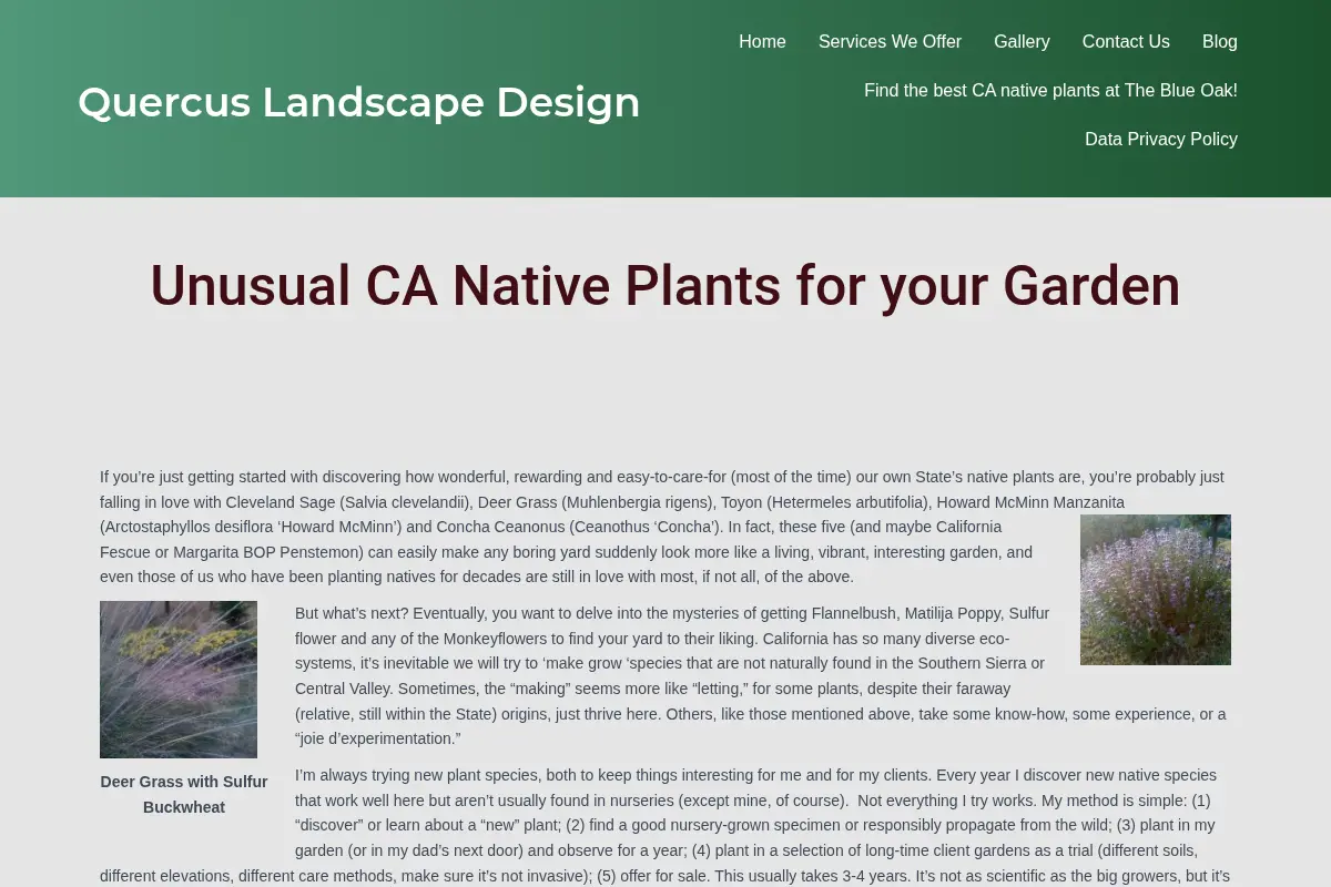 Unusual CA Native Plants for your Garden