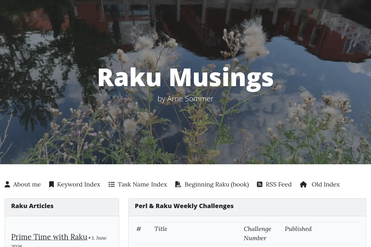 Raku Musings by Arne Sommer
