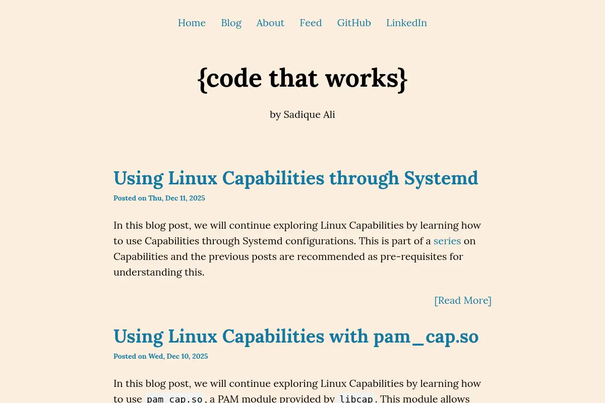 {code that works} by Sadique Ali