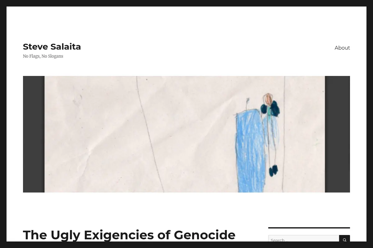 Steve Salaita - No Flags, No Slogans